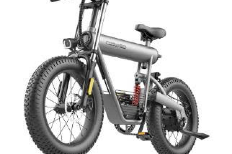 T20